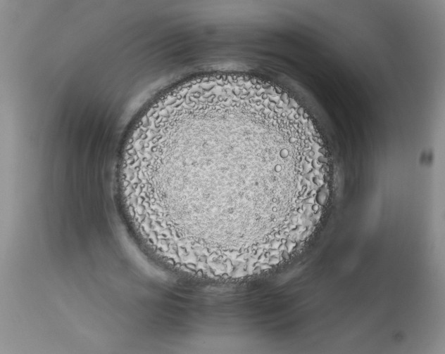 X0000113090725200910091256