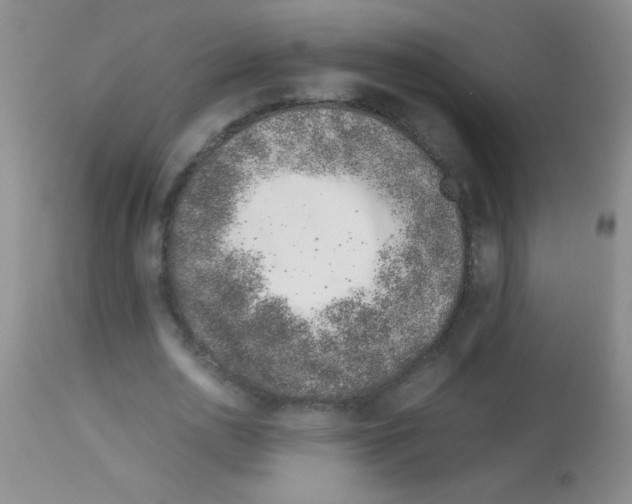 X0000113090726200910091256