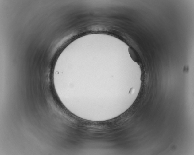 X0000113090727200910091256
