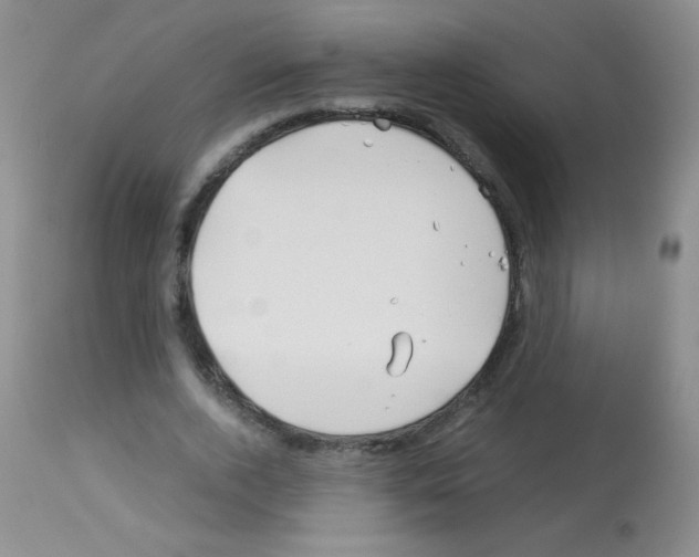 X0000113090728200910091256