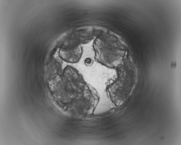 X0000113090729200910091256