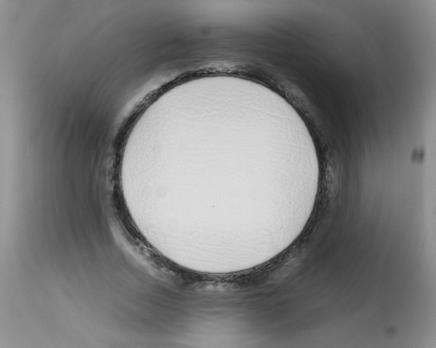 X0000113090730200910091256