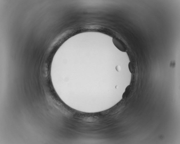 X0000113090731200910091256