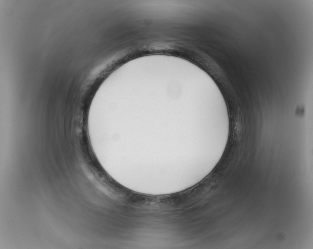X0000113090732200910091257