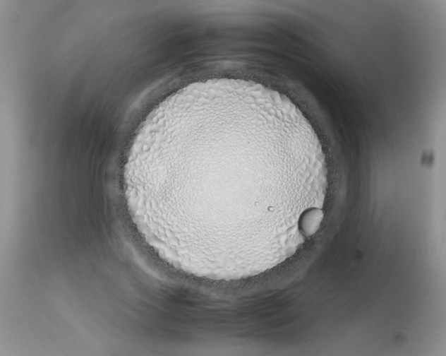 X0000113090733200910091257