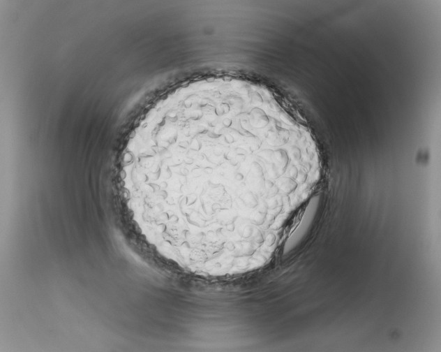 X0000113090734200910091257