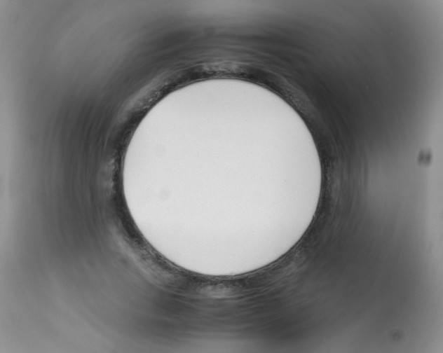 X0000113090735200910091257