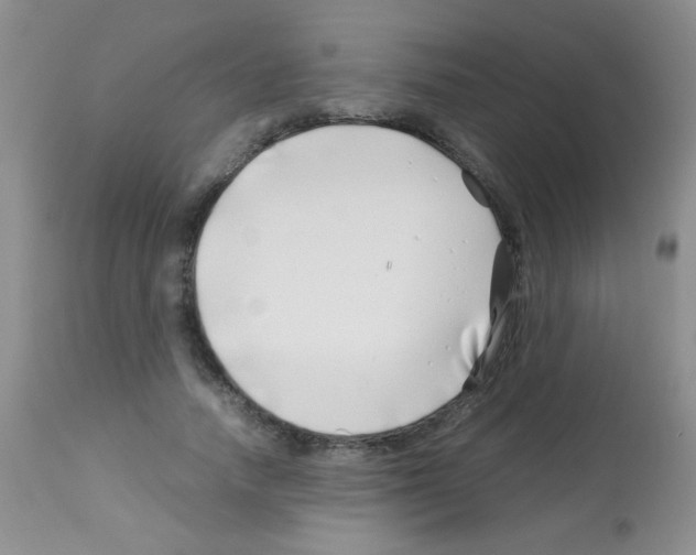 X0000113090738200910091257