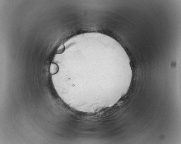 X0000113090739200910091257
