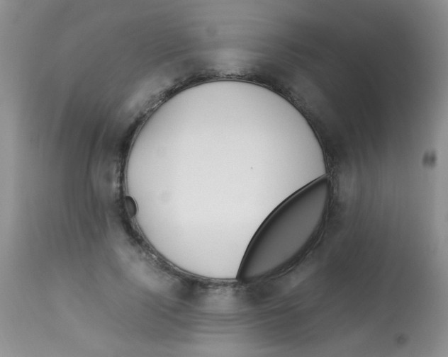 X0000113090740200910091257