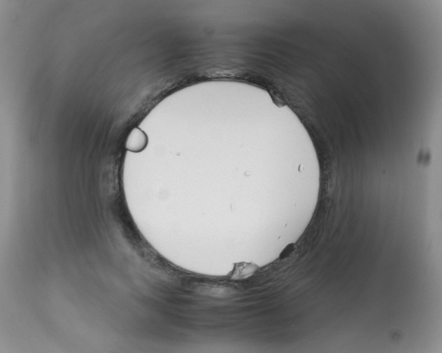 X0000113090743200910091257