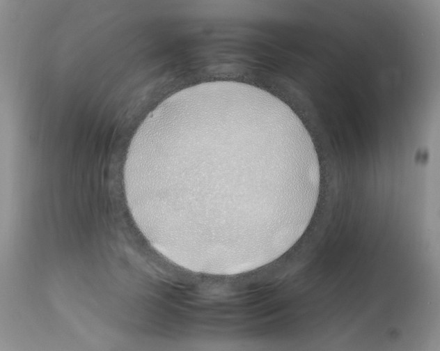 X0000113090745200910091257