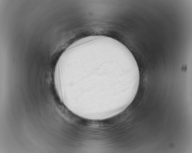 X0000113090746200910091257