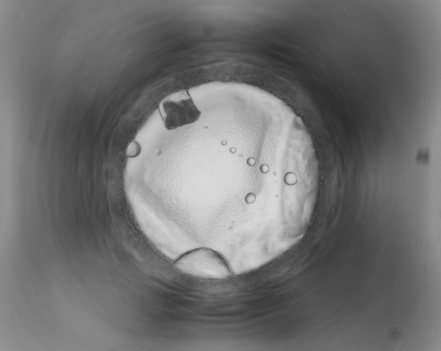 X0000113090749200910091257