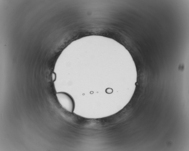 X0000113090750200910091257