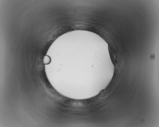 X0000113090751200910091257