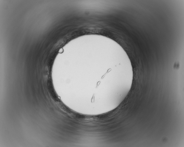 X0000113090752200910091257