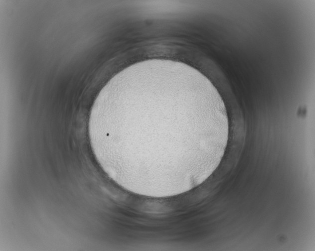 X0000113090753200910091257