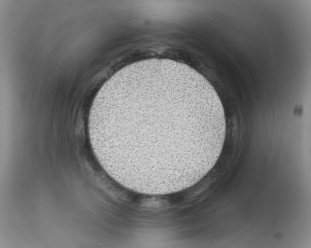 X0000113090754200910091257
