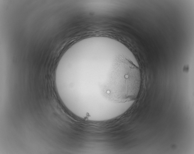 X0000113090756200910091257