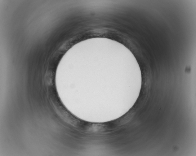 X0000113090758200910091257