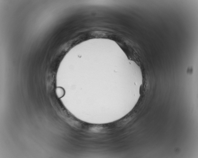 X0000113090759200910091257