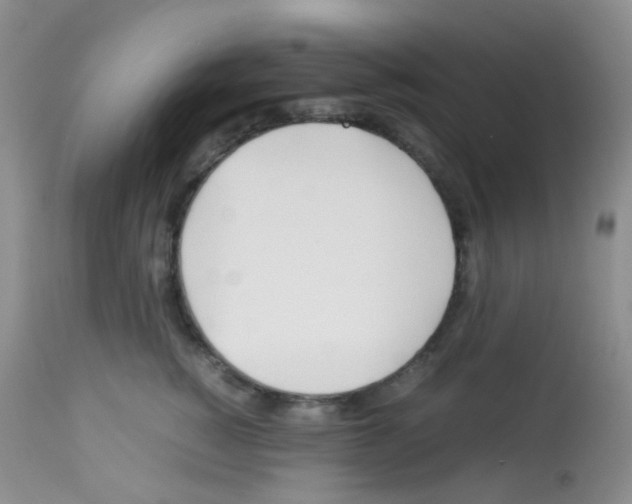 X0000113090760200910091257