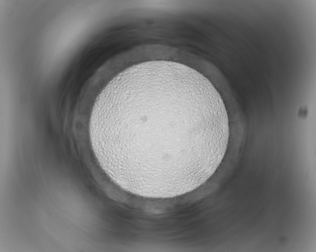 X0000113090761200910091257