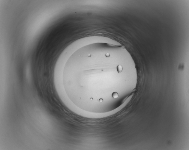X0000113090762200910091257
