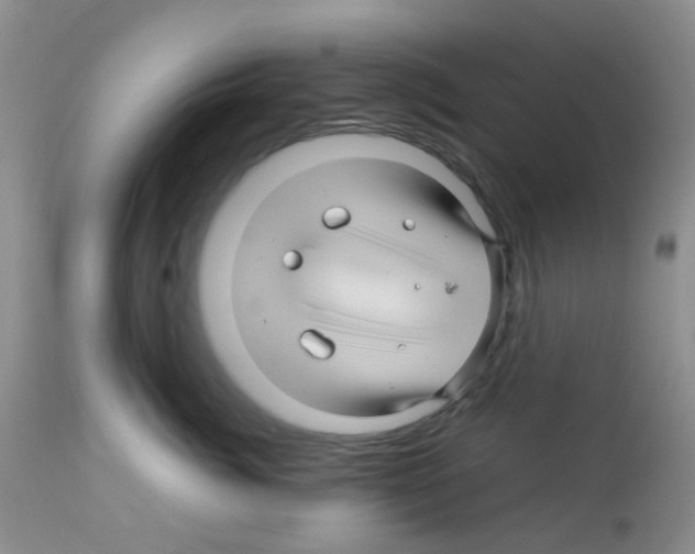 X0000113090764200910091257