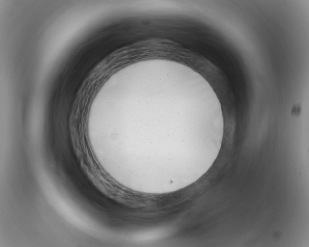X0000113090765200910091257