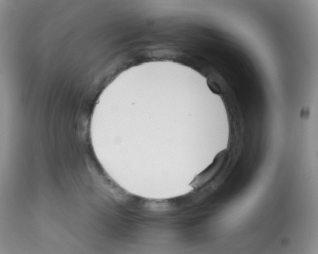 X0000113090767200910091257