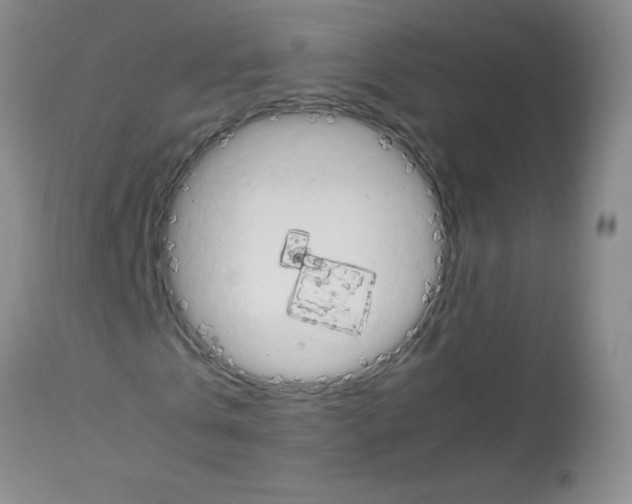 X0000113090769200910091256