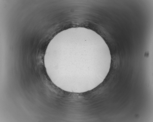 X0000113090770200910091256