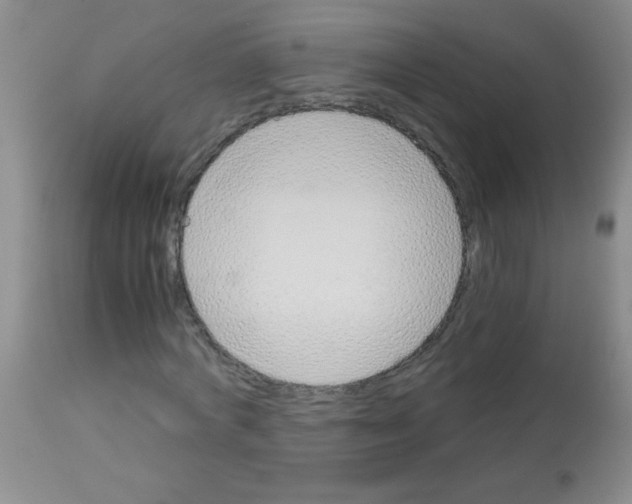 X0000113090772200910091256