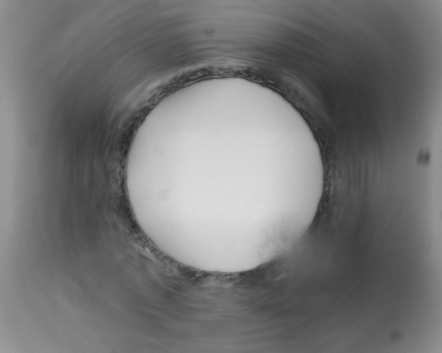 X0000113090773200910091256