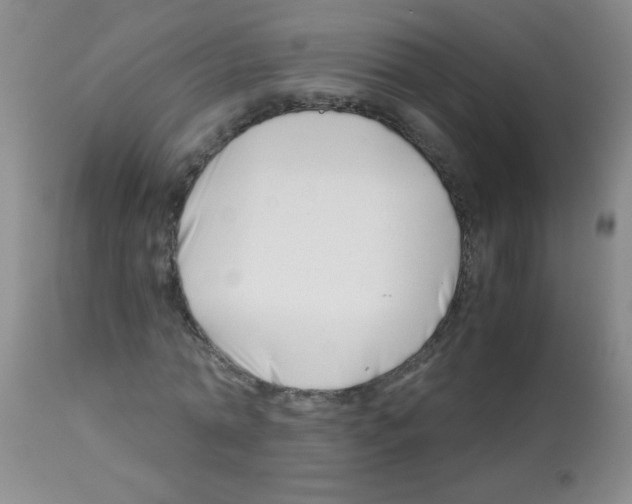 X0000113090774200910091256