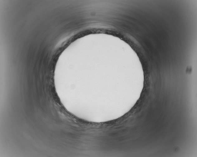 X0000113090775200910091256