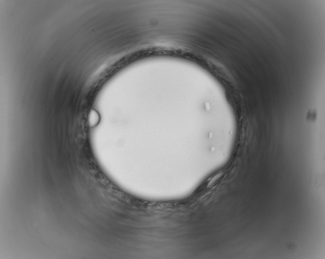 X0000113090776200910091256