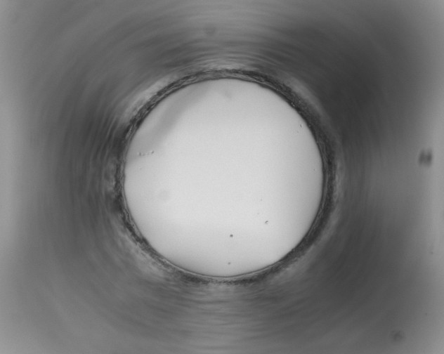 X0000113090777200910091256