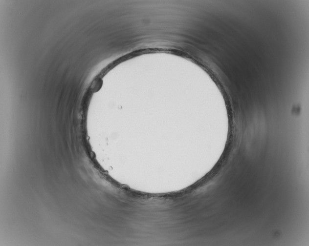 X0000113090779200910091256
