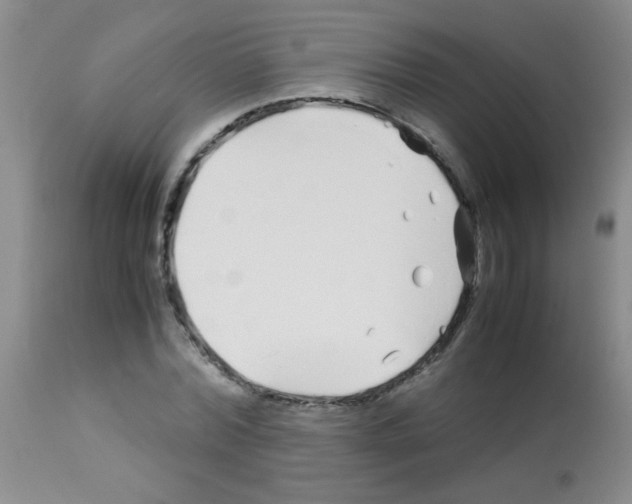 X0000113090780200910091256