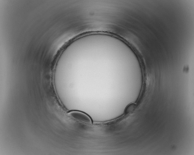 X0000113090781200910091256