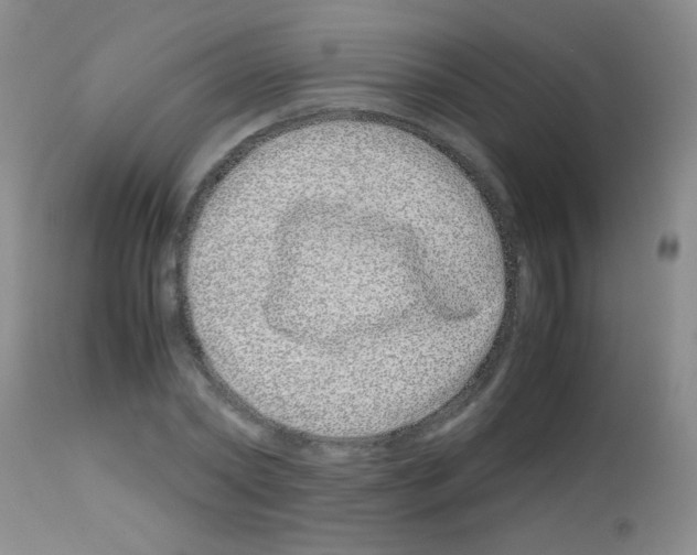 X0000113090782200910091256