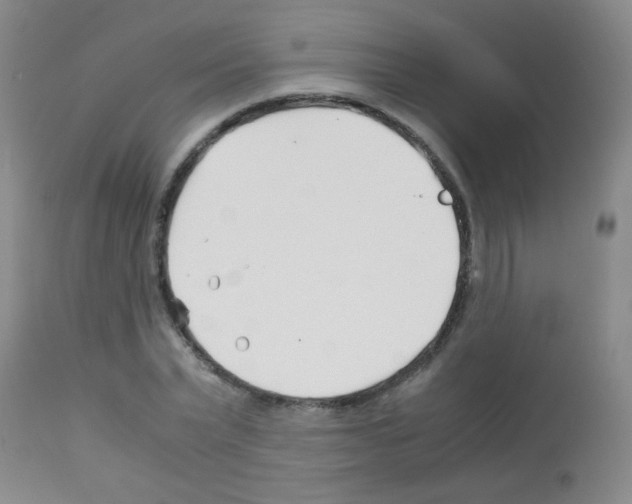 X0000113090783200910091256