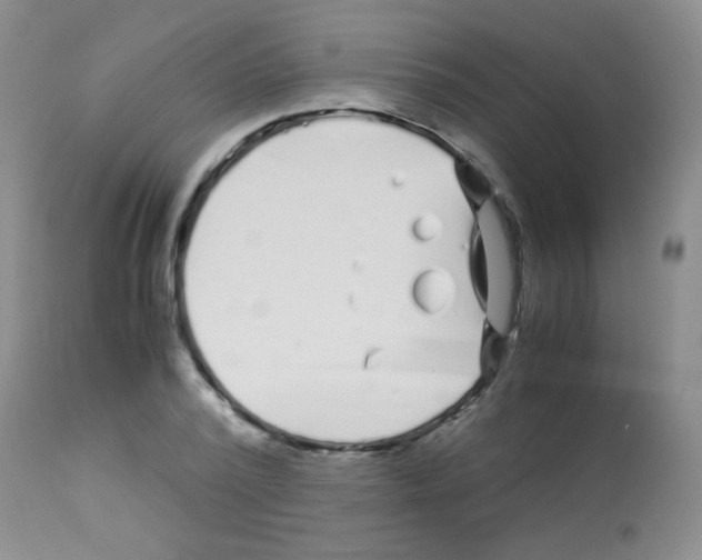 X0000113090784200910091256
