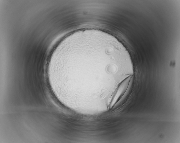 X0000113090788200910091256