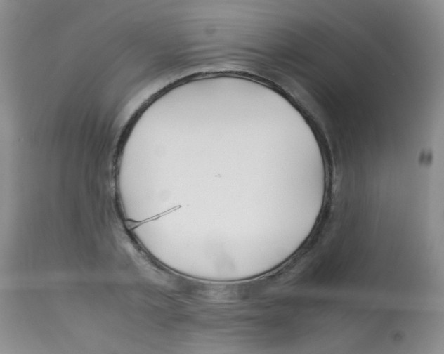 X0000113090789200910091256