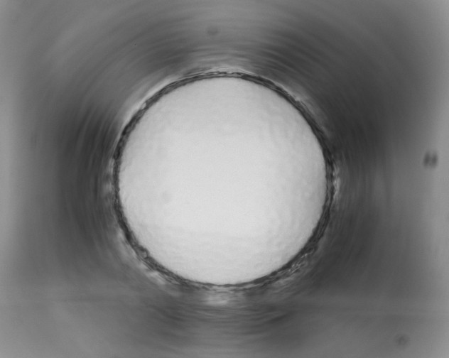 X0000113090790200910091256