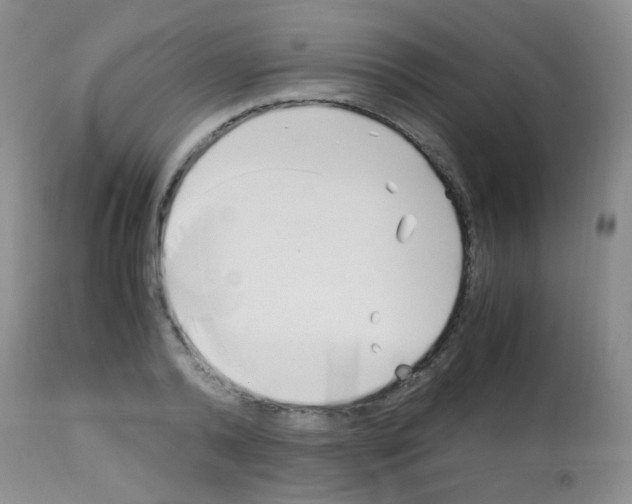 X0000113090792200910091256
